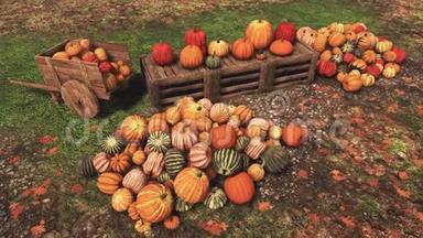 秋季出售的秋季南瓜农民`市场